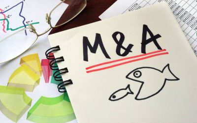 50% das empresas querem fazer fusões ou aquisições nos próximos 12 meses