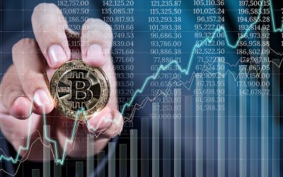 BR Angels investe R$ 2 milhões em plataforma de gestão de carteiras com criptoativos