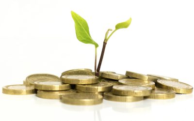 Startups seed e early stage levantam mais dinheiro no Brasil no 1º semestre