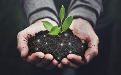 Investimento em agtechs de alimentos cresce 85% em relação a 2020