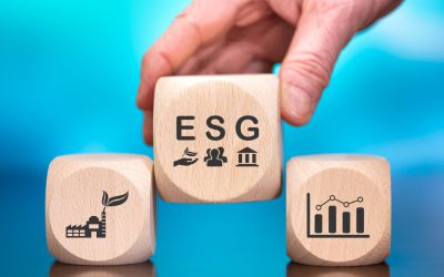 Startups de ESG podem ter um ano de maior destaque no Brasil