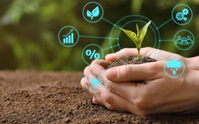 Uma a cada três startups do agronegócio atua fora do Brasil