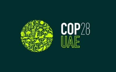 COP-28: startups brasileiras podem ser aliadas na luta pelo clima